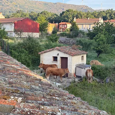 La Luciernaga Sierra De Bejar *