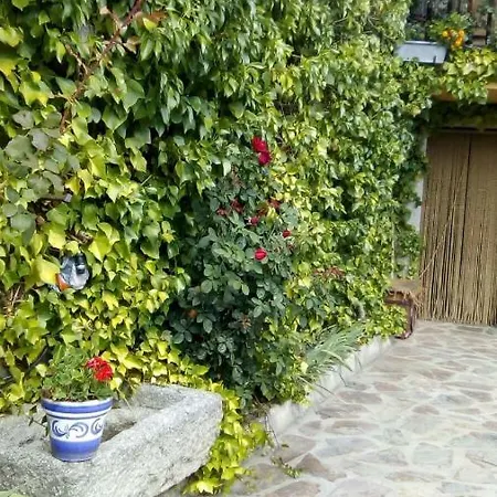 La Luciernaga Sierra De Bejar Kır Evi *