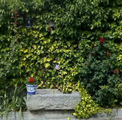 La Luciérnaga Séjour à la campagne Sorihuela